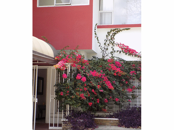 Costa Rica Real Estate - hotel